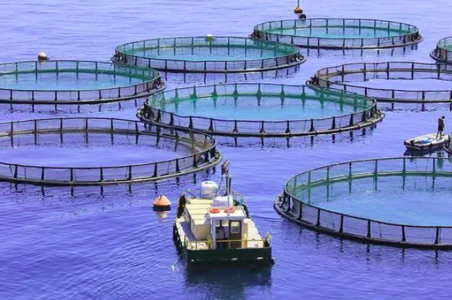 國外先進水產養殖可持續水處理解決方案介紹